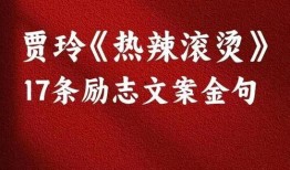 明星爆料文案励志视频,明星爆料背后的奋斗故事
